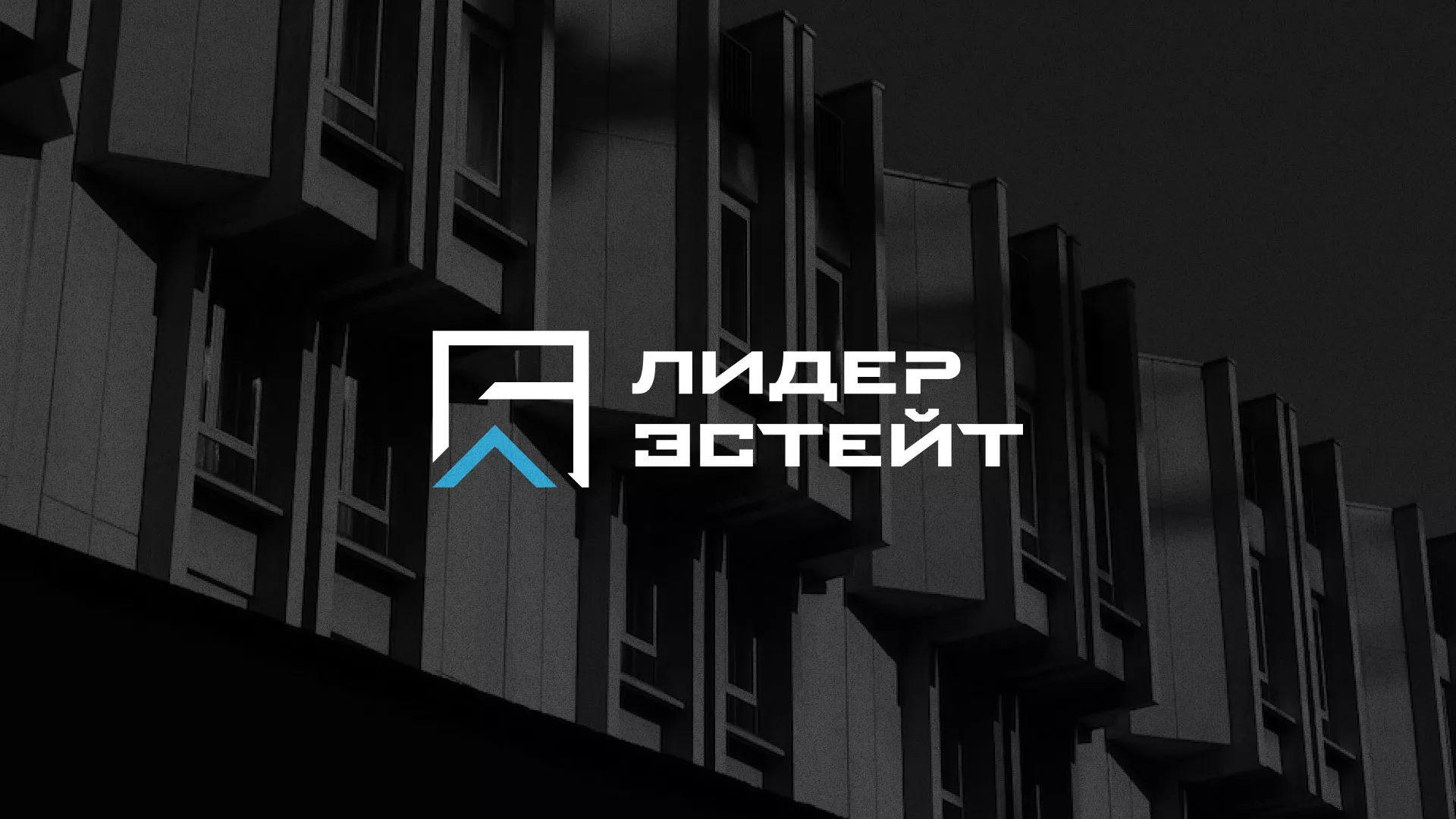 Разработка логотипа агентства недвижимости «Лидер Эстейт» в Беломорске